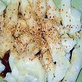 產(chǎn)品圖片2